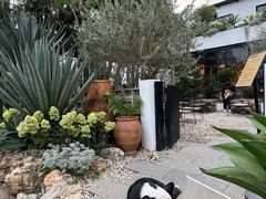 -自由生长植物工作室(深港花卉中心店)