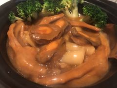 皇朝一品煲-皇朝会.经典传统粤菜(外滩店)