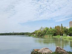-高子水居