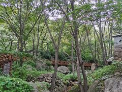 -大岭沟猕猴桃谷风景区