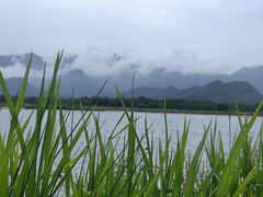 -大九湖