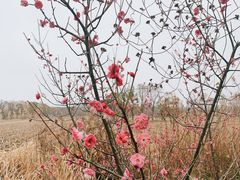 -广富林郊野公园