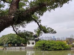 -江心屿景区