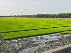 -嘉北郊野公园