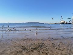 -栈桥海水浴场