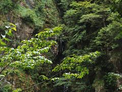-鄣山大峡谷
