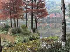 -重庆彩云湖湿地公园