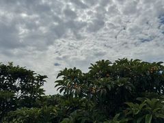 -东山风景区(洞庭东山)