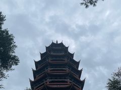 -铁山坪森林公园