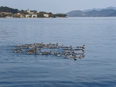 -东钱湖旅游度假区