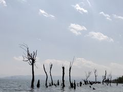 -大理洱海