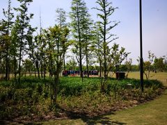 -上海长兴岛郊野公园