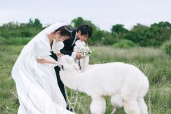 -古摄影婚纱(湛江霞山步行街店)