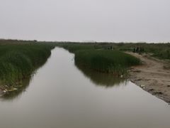 -春花秋色城市公园