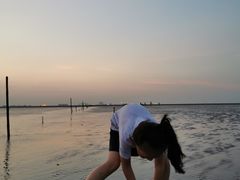 -南汇嘴观海公园