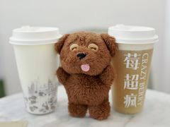 -莓超疯