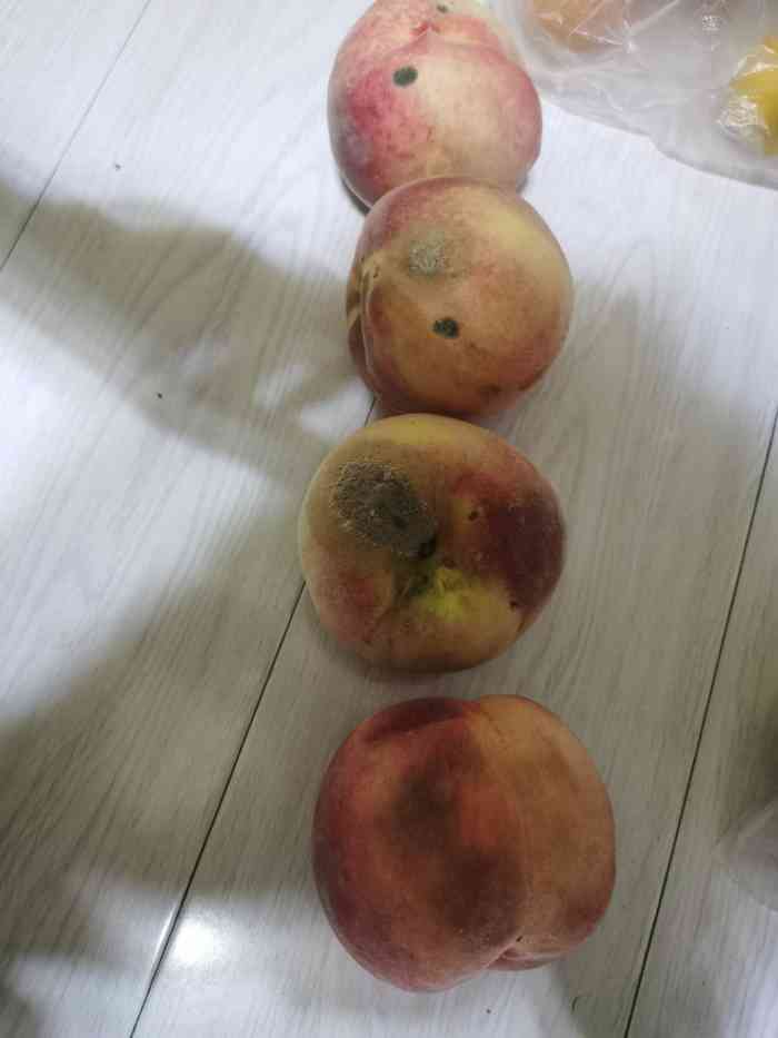 打分 看着挺大的水果超市,路过买几个桃子回家发现都是长毛的