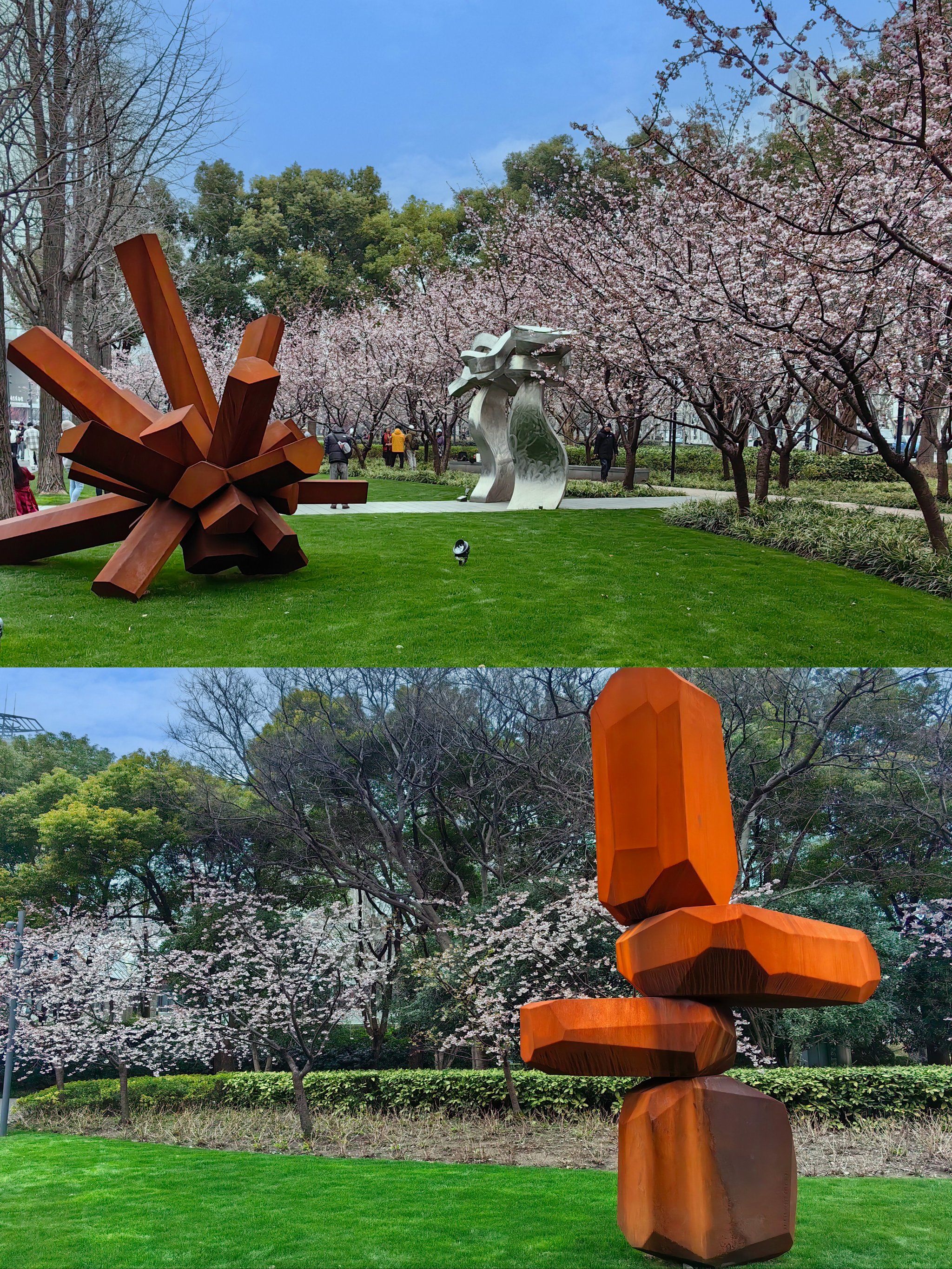 樱花季(静安雕塑公园)
