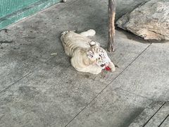 -秦皇岛野生动物园