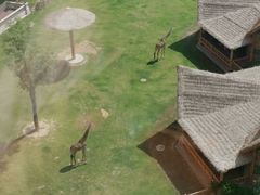 -葛记焖饼(伏牛路店)