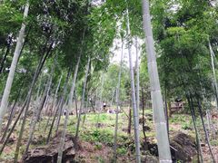 -藏龙百瀑风景区