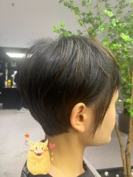 -付军剪艺JF ProSalon