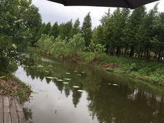 -盐官日光域房车营地·有盐餐厅