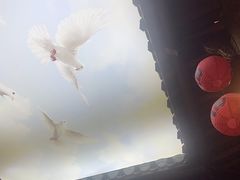 -徽三说·土徽菜·中国徽菜连锁品牌(一中店)