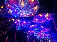 景点-雁滩公园