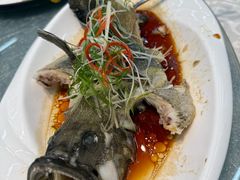 -九號渔港·蒸汽海鲜·粤菜茶点(八卦岭店)