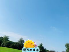-莲花岛景区