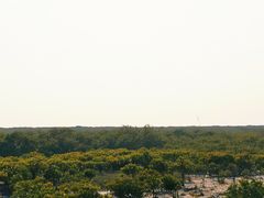 -北海金海湾红树林生态旅游区