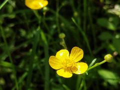 -碓臼峪自然风景区