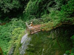 -碧峰峡风景区