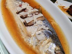 酒糟鲥鱼-光明邨大酒家(淮海路店)