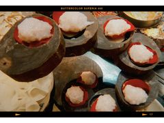 -渝大狮毛肚老火锅(普陀店)