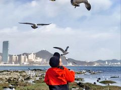 -黑石礁公园