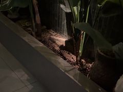 -涟LIAN·泰式按摩·MASSAGE·SPA(华强北店)