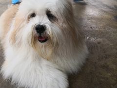 -TrueLove @ Neverland (Husky Cafe)