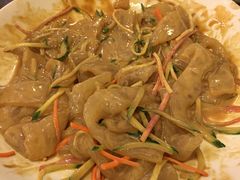 东北大拉皮-福来居烤鸭店(天坛二店)