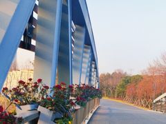 -昆山城市生态森林公园