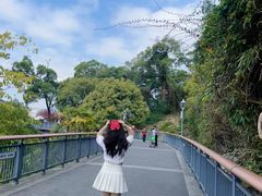 -金鸡山公园