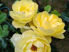 -人民公园(罗湖区)