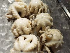 白灼章鱼-铭聚章鱼土笋冻(松柏店)