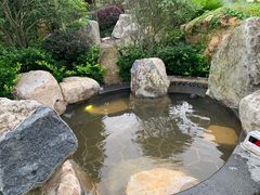 -溧阳天目湖天沐温泉