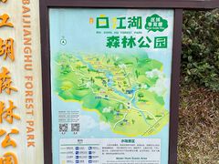 -广州白江湖森林公园