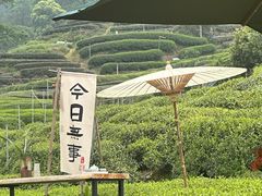 -EF教育成人英语(武林中心)