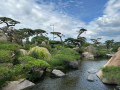 -罗红摄影艺术馆