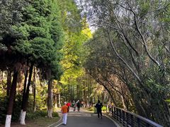 -苏州河梦清园环保主题公园