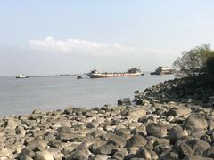 -吴淞炮台湾湿地森林公园烧烤区